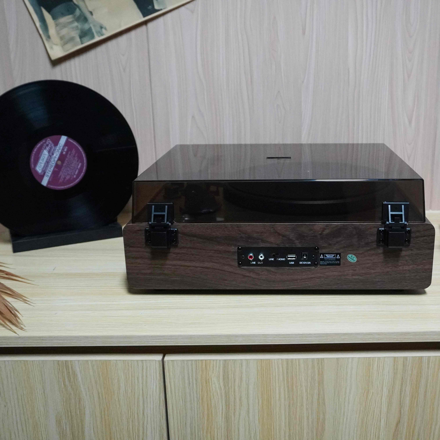 TR-L30 High-End Vintage Gramophone | Professional 3-Speed Turntable with Independent Sound Cavity