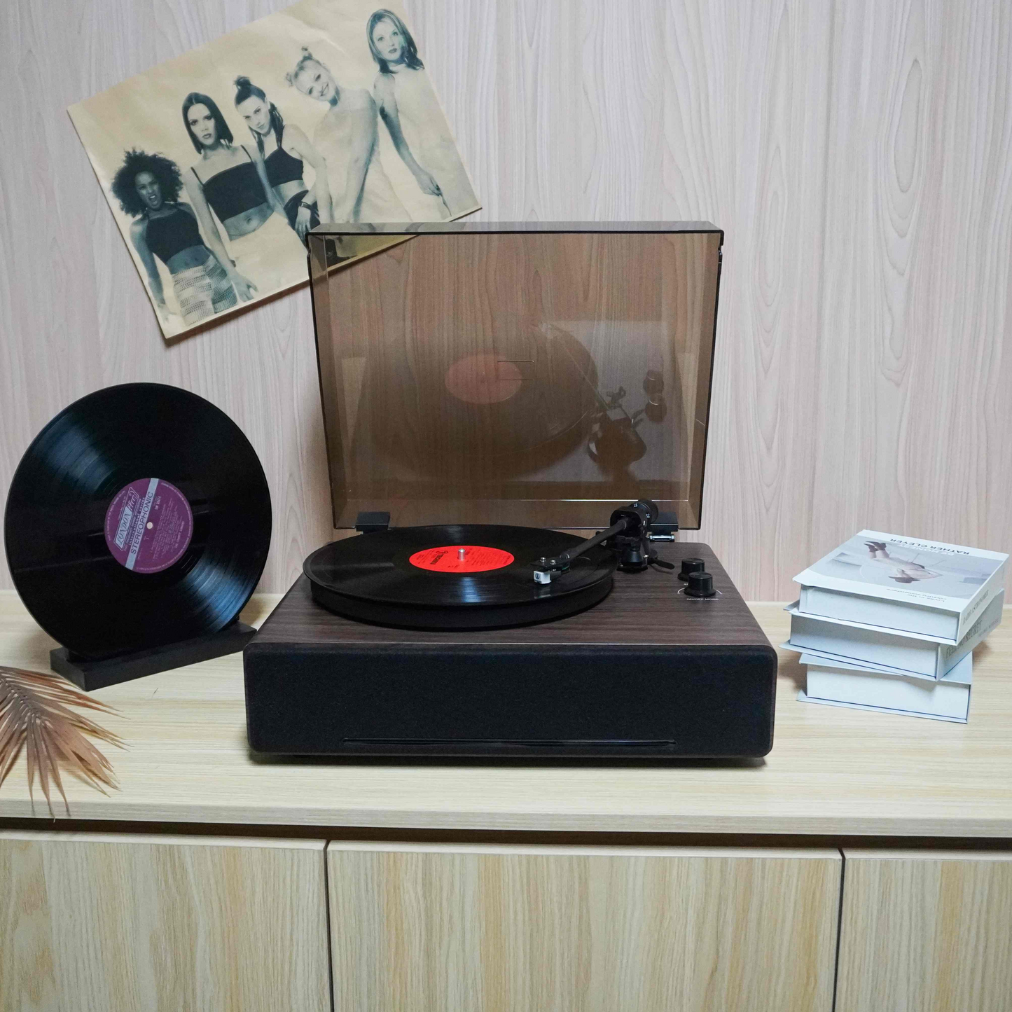 TR-L30 High-End Vintage Gramophone | Professional 3-Speed Turntable with Independent Sound Cavity