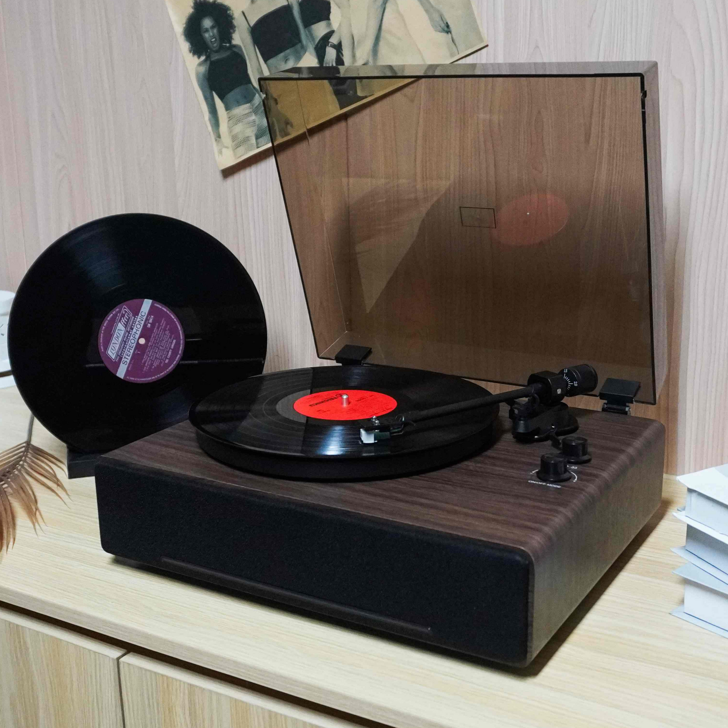 TR-L30 High-End Vintage Gramophone | Professional 3-Speed Turntable with Independent Sound Cavity