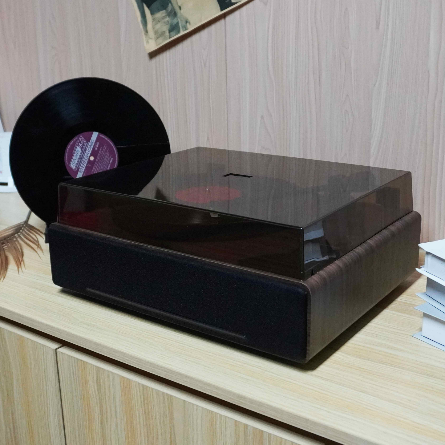 TR-L30 High-End Vintage Gramophone | Professional 3-Speed Turntable with Independent Sound Cavity