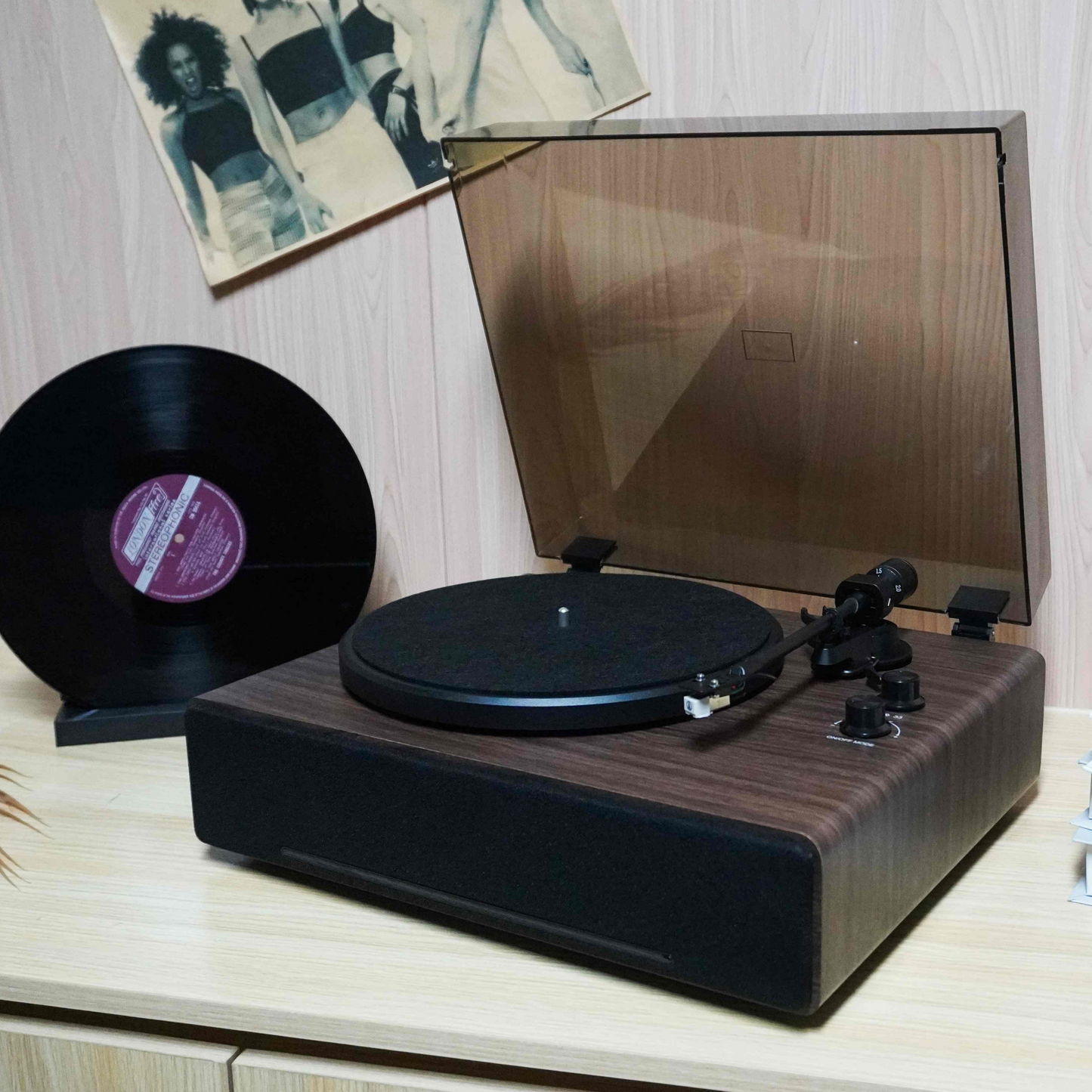 TR-L30 High-End Vintage Gramophone | Professional 3-Speed Turntable with Independent Sound Cavity