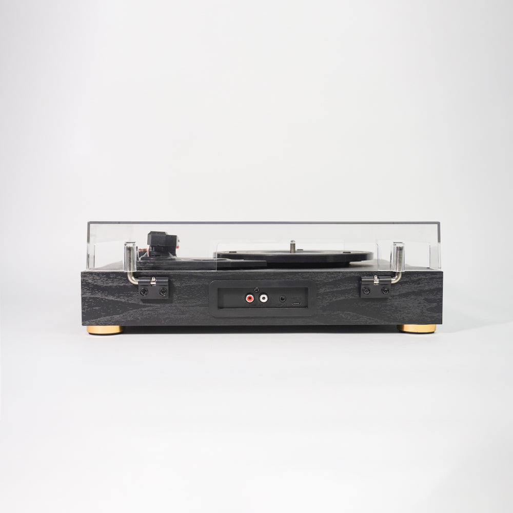 TR104 Classic Wooden All-in-One Vinyl Turntable