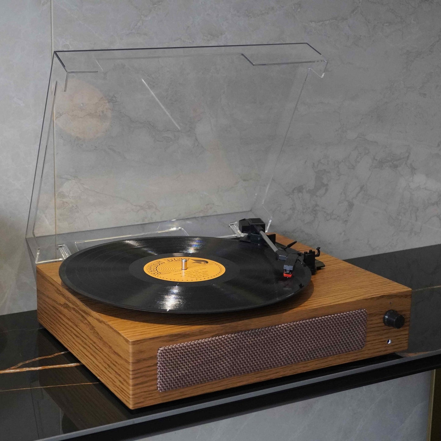 TR108-A | Professional Hi-Fi Vinyl Record Player with Autostop & Type-C Power Supply