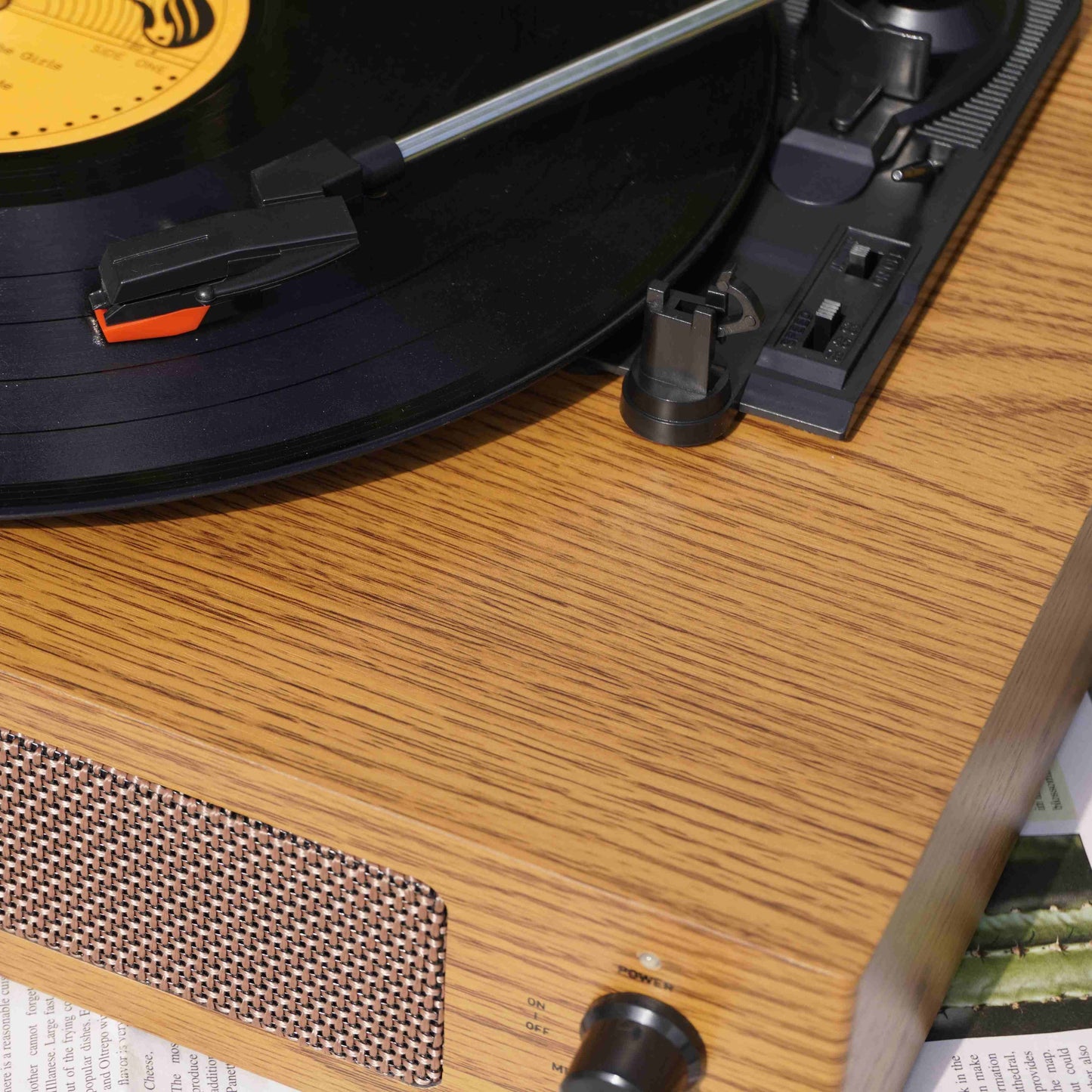 TR108-A | Professional Hi-Fi Vinyl Record Player with Autostop & Type-C Power Supply
